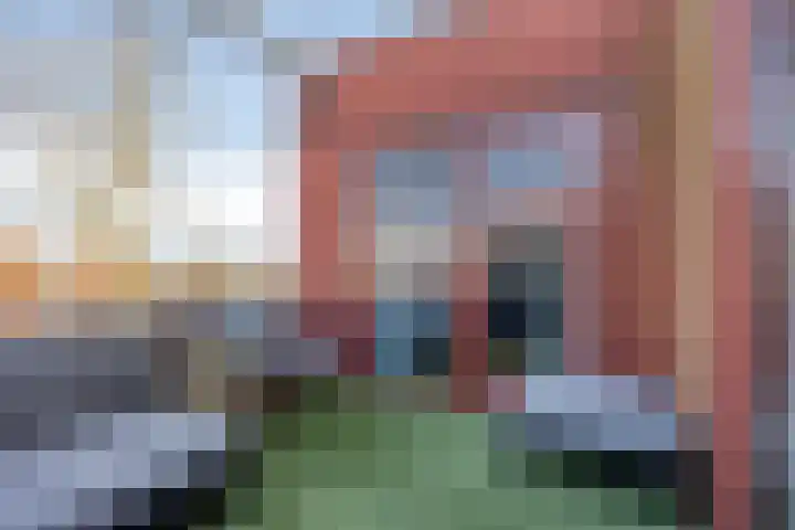 Meerval 1 Amersfoort thumbnail 26