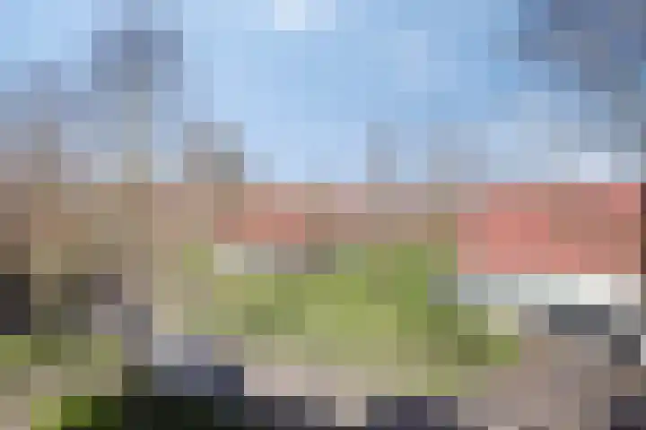 Meerval 1 Amersfoort thumbnail 27