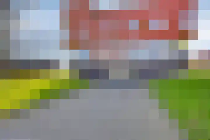 Meerval 1 Amersfoort thumbnail 28
