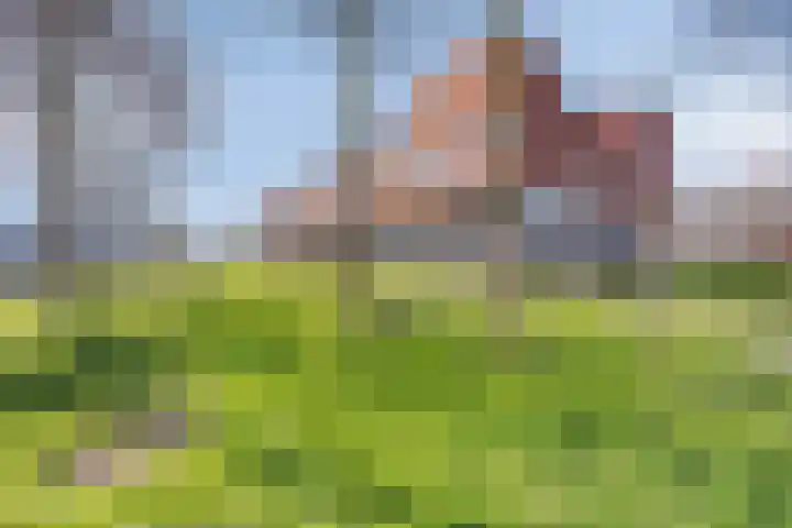 Meerval 1 Amersfoort thumbnail 30