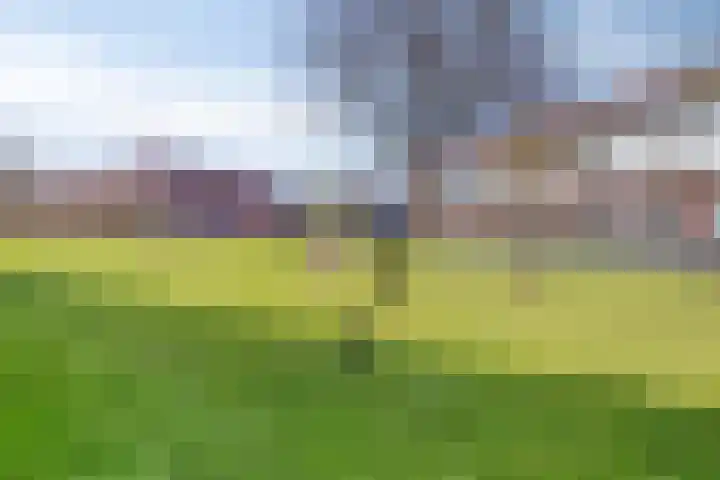 Meerval 1 Amersfoort thumbnail 31
