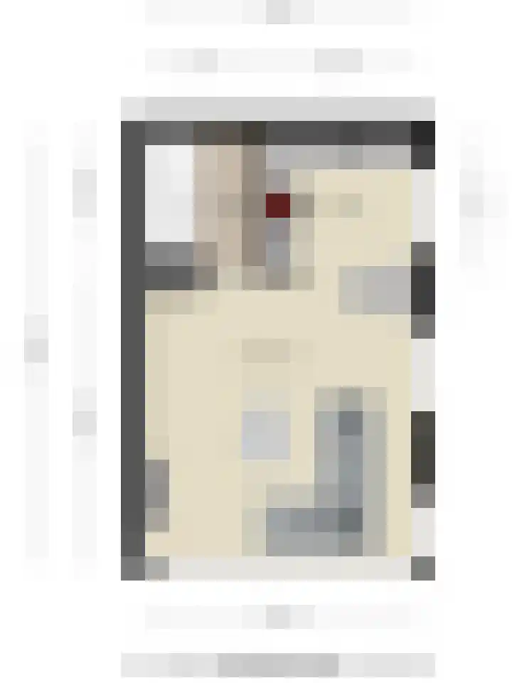 Meerval 1 Amersfoort thumbnail 33