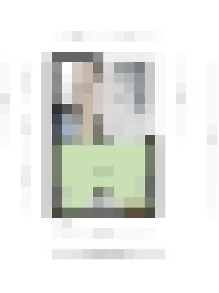 Meerval 1 Amersfoort thumbnail 34