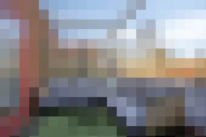 Meerval 1 Amersfoort thumbnail 5