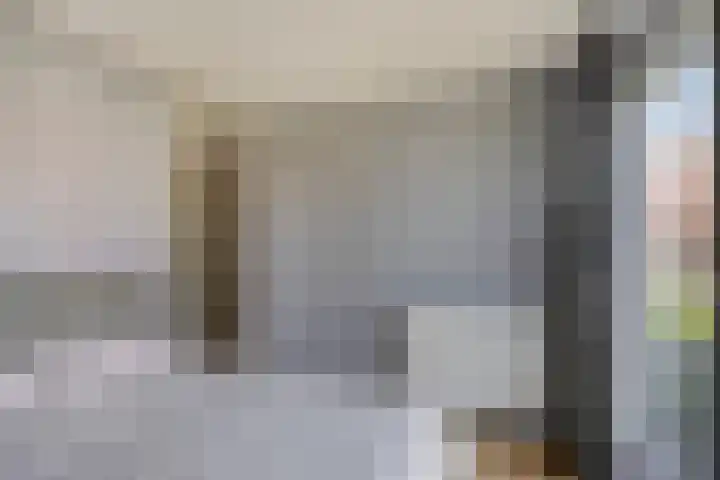 Meerval 1 Amersfoort thumbnail 9