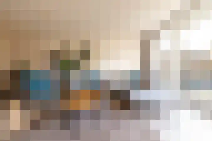 Meerval 10 Assen thumbnail 11