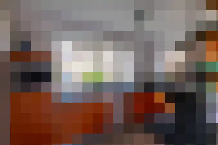 Meerval 10 Assen thumbnail 16