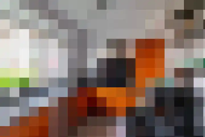 Meerval 10 Assen thumbnail 17