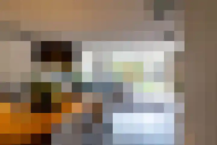 Meerval 10 Assen thumbnail 20