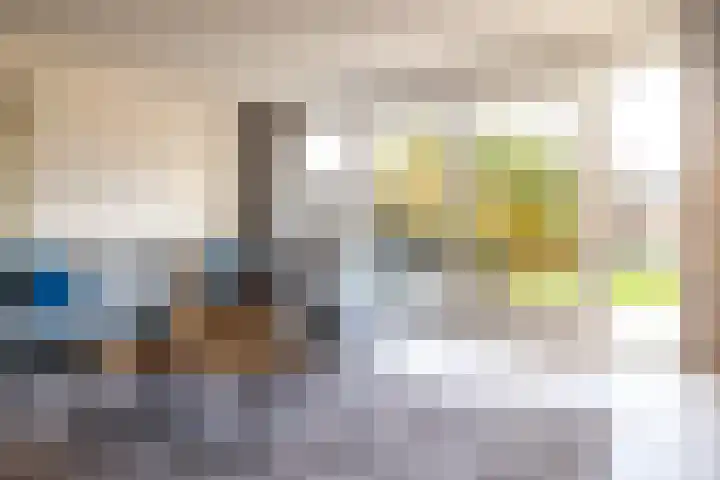 Meerval 10 Assen thumbnail 21