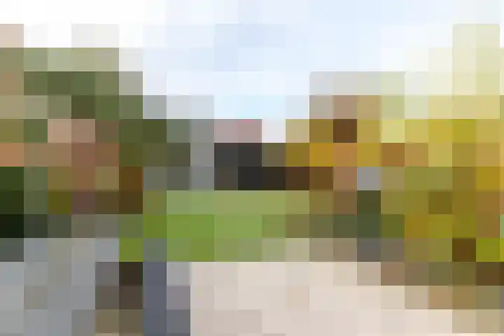 Meerval 10 Assen thumbnail 22