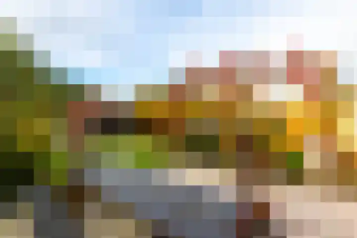 Meerval 10 Assen thumbnail 23