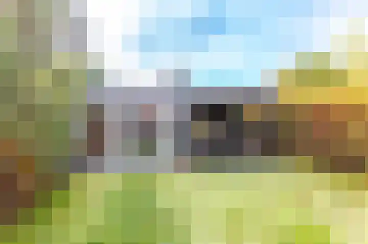 Meerval 10 Assen thumbnail 24