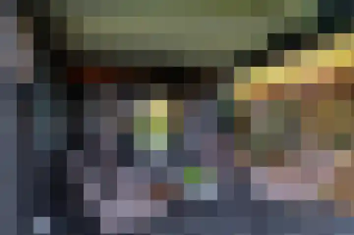 Meerval 10 Assen thumbnail 25