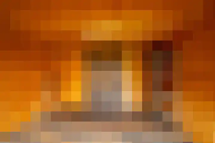 Meerval 10 Assen thumbnail 26
