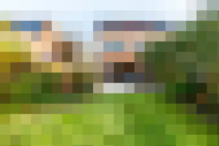 Meerval 10 Assen thumbnail 27
