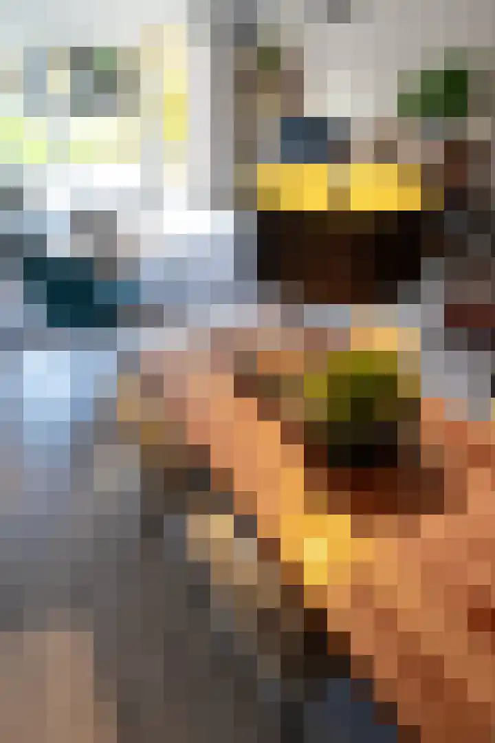 Meerval 10 Assen thumbnail 28