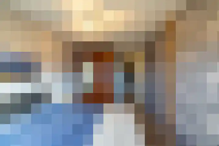 Meerval 10 Assen thumbnail 32