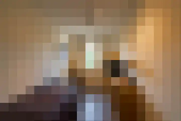 Meerval 10 Assen thumbnail 36