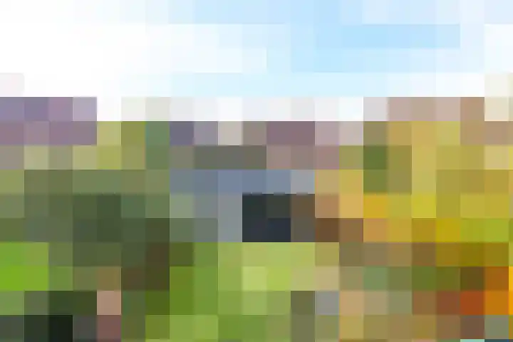 Meerval 10 Assen thumbnail 38