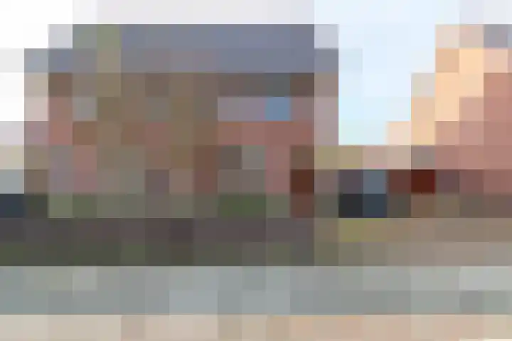 Meerval 10 Assen thumbnail 4