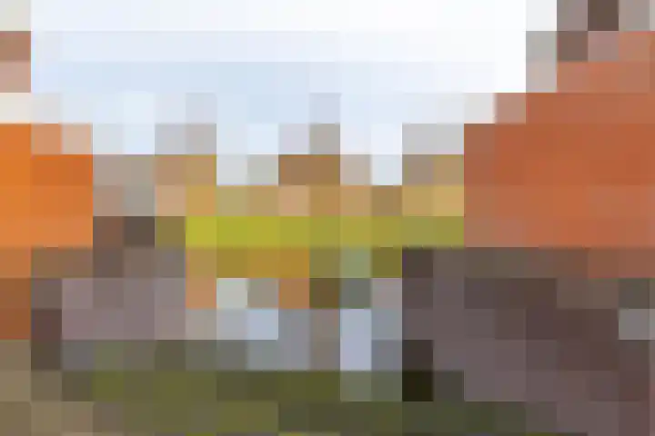 Meerval 10 Assen thumbnail 46