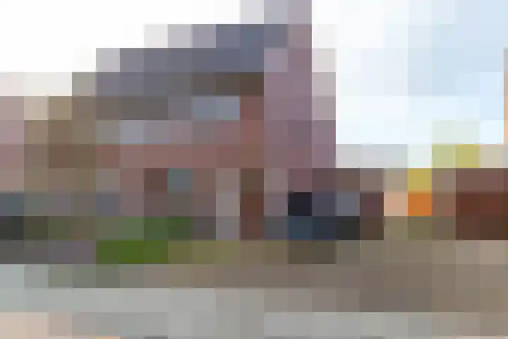 Meerval 10 Assen thumbnail 5