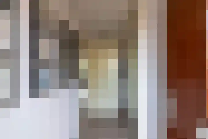 Meerval 10 Assen thumbnail 6