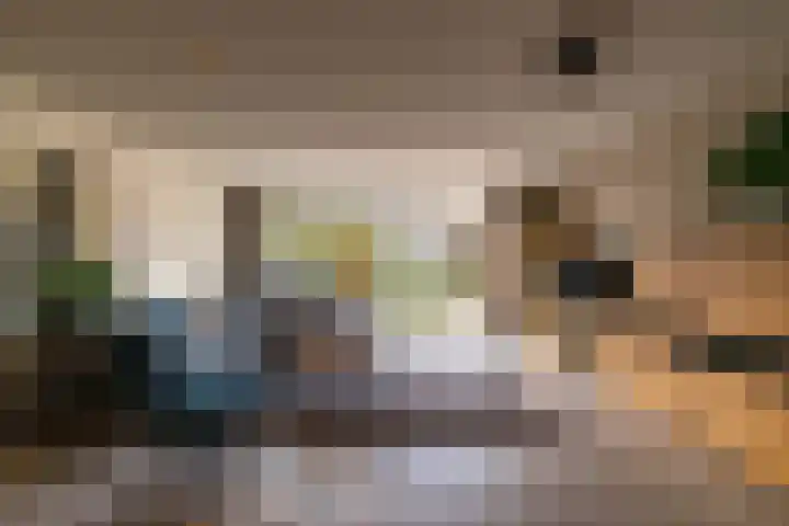 Meerval 10 Assen thumbnail 8
