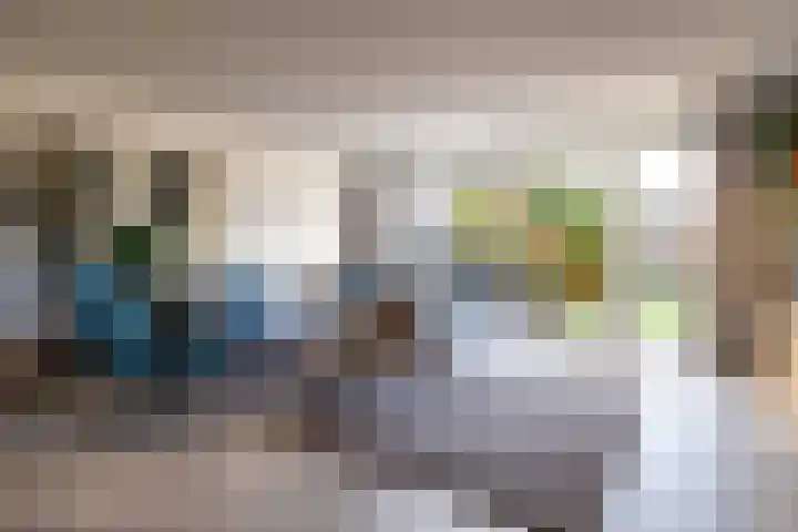 Meerval 10 Assen thumbnail 9