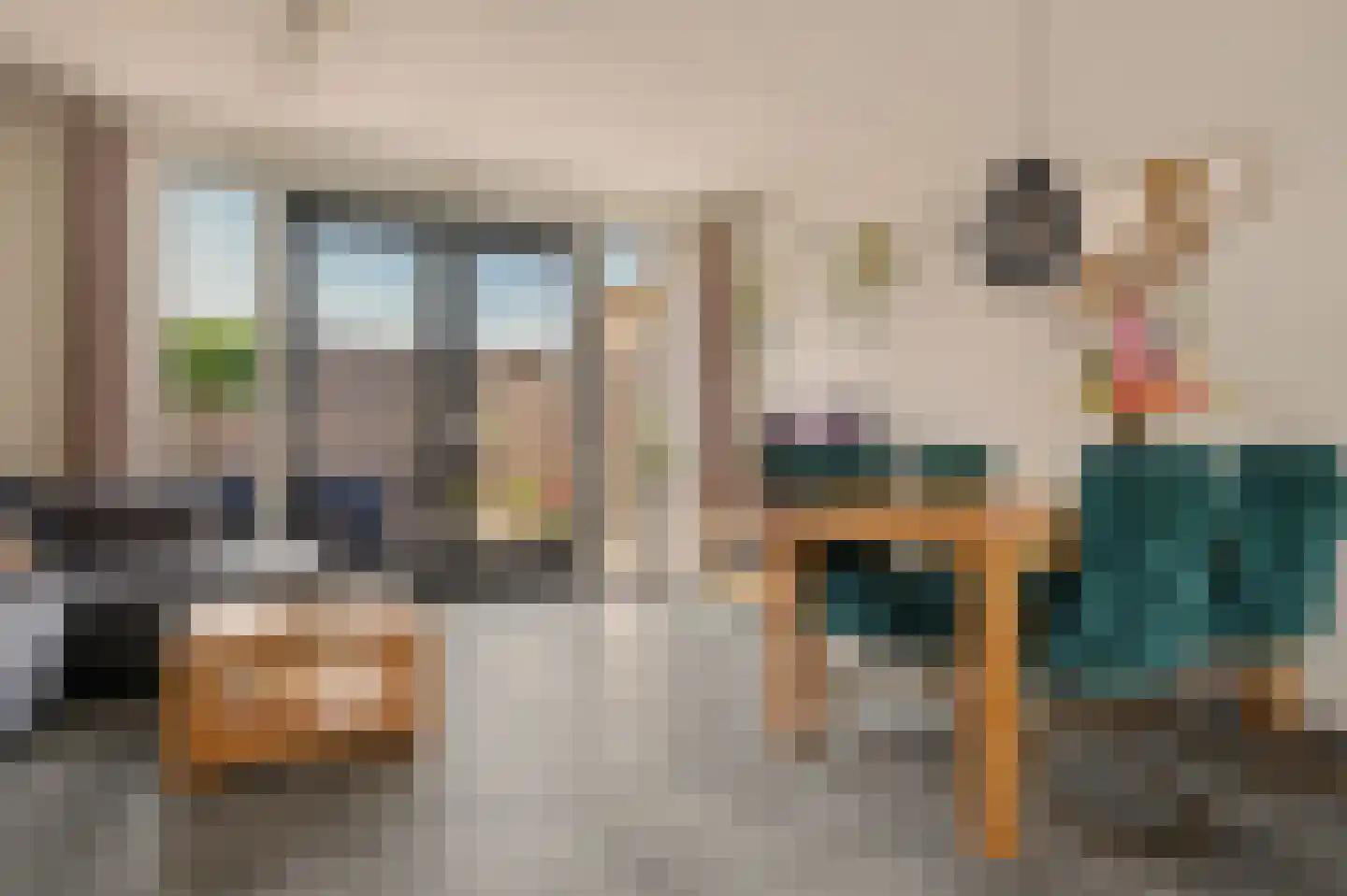 Meerval 101 Schagen thumbnail 10