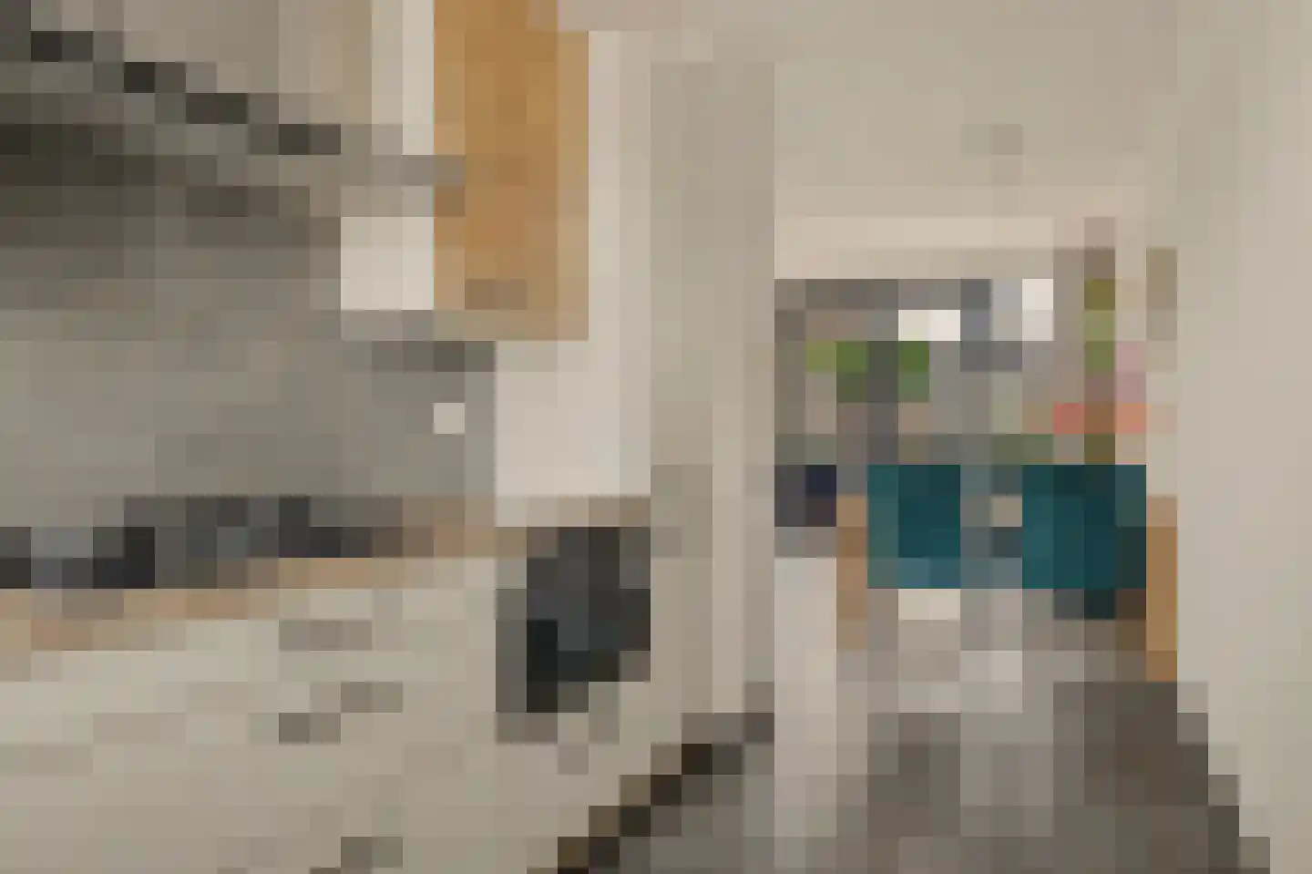 Meerval 101 Schagen thumbnail 15