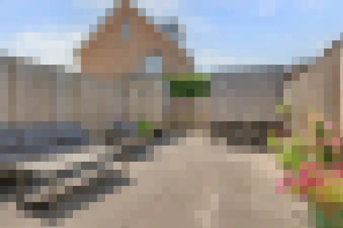 Meerval 101 Schagen thumbnail 18