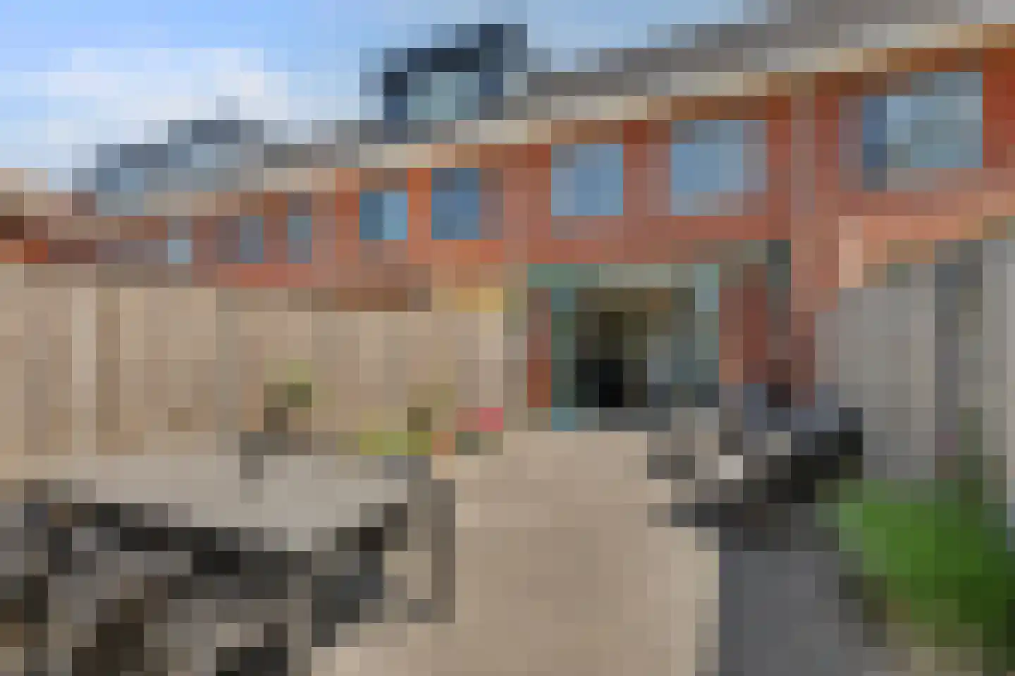 Meerval 101 Schagen thumbnail 19