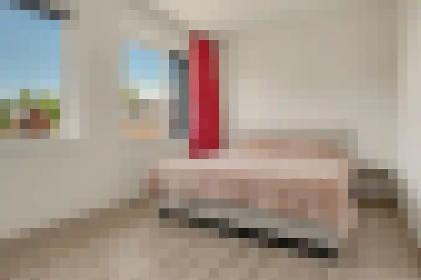 Meerval 101 Schagen thumbnail 24