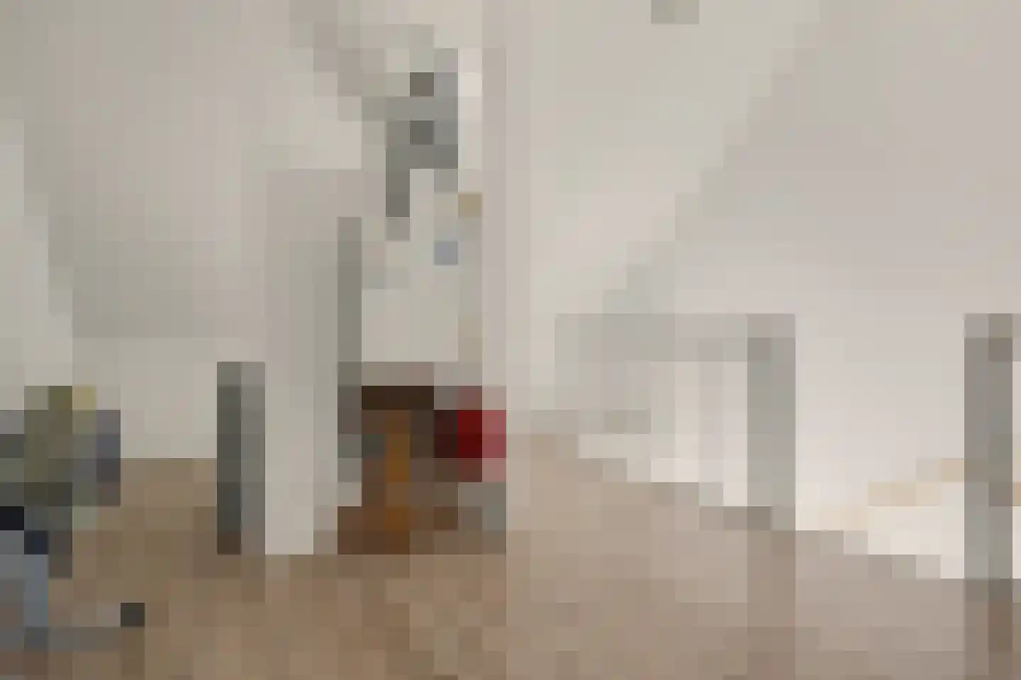 Meerval 101 Schagen thumbnail 33