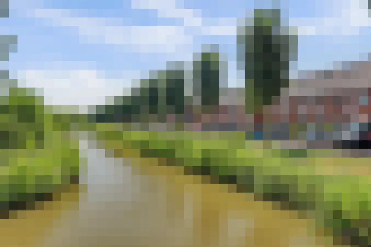 Meerval 101 Schagen thumbnail 36