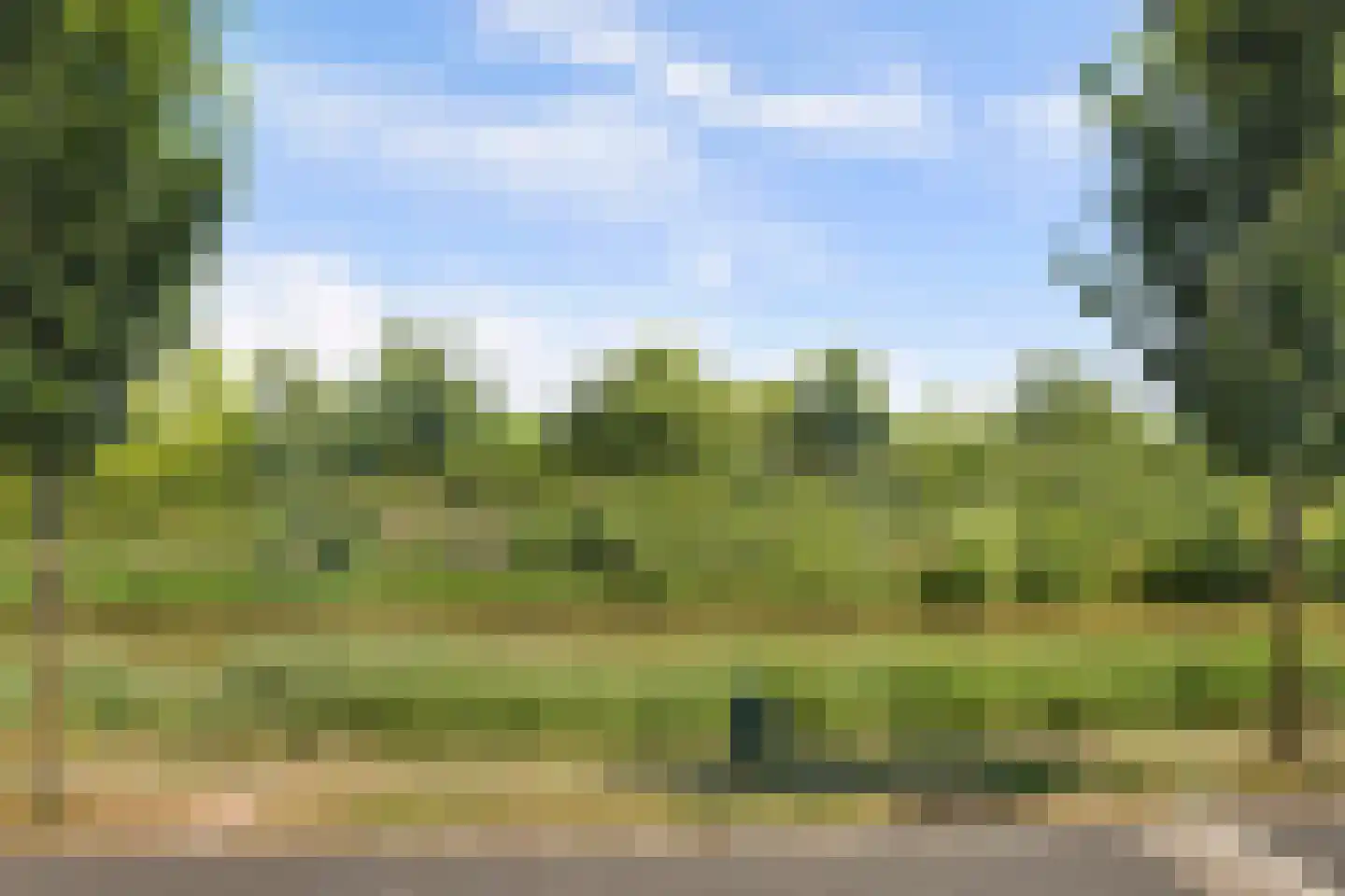 Meerval 101 Schagen thumbnail 37