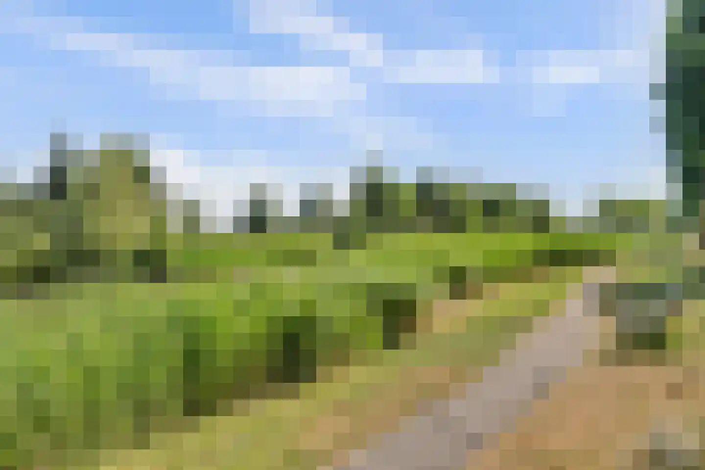 Meerval 101 Schagen thumbnail 38