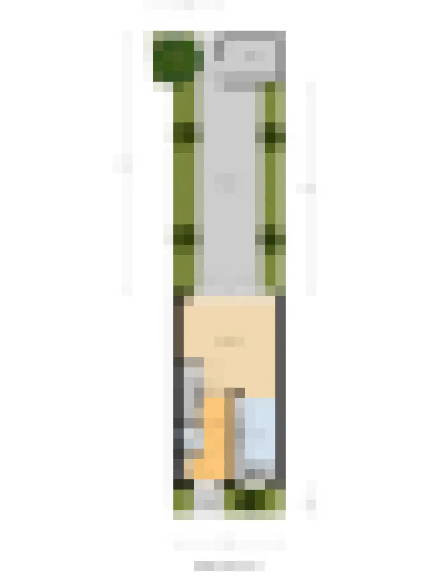 Meerval 101 Schagen thumbnail 42