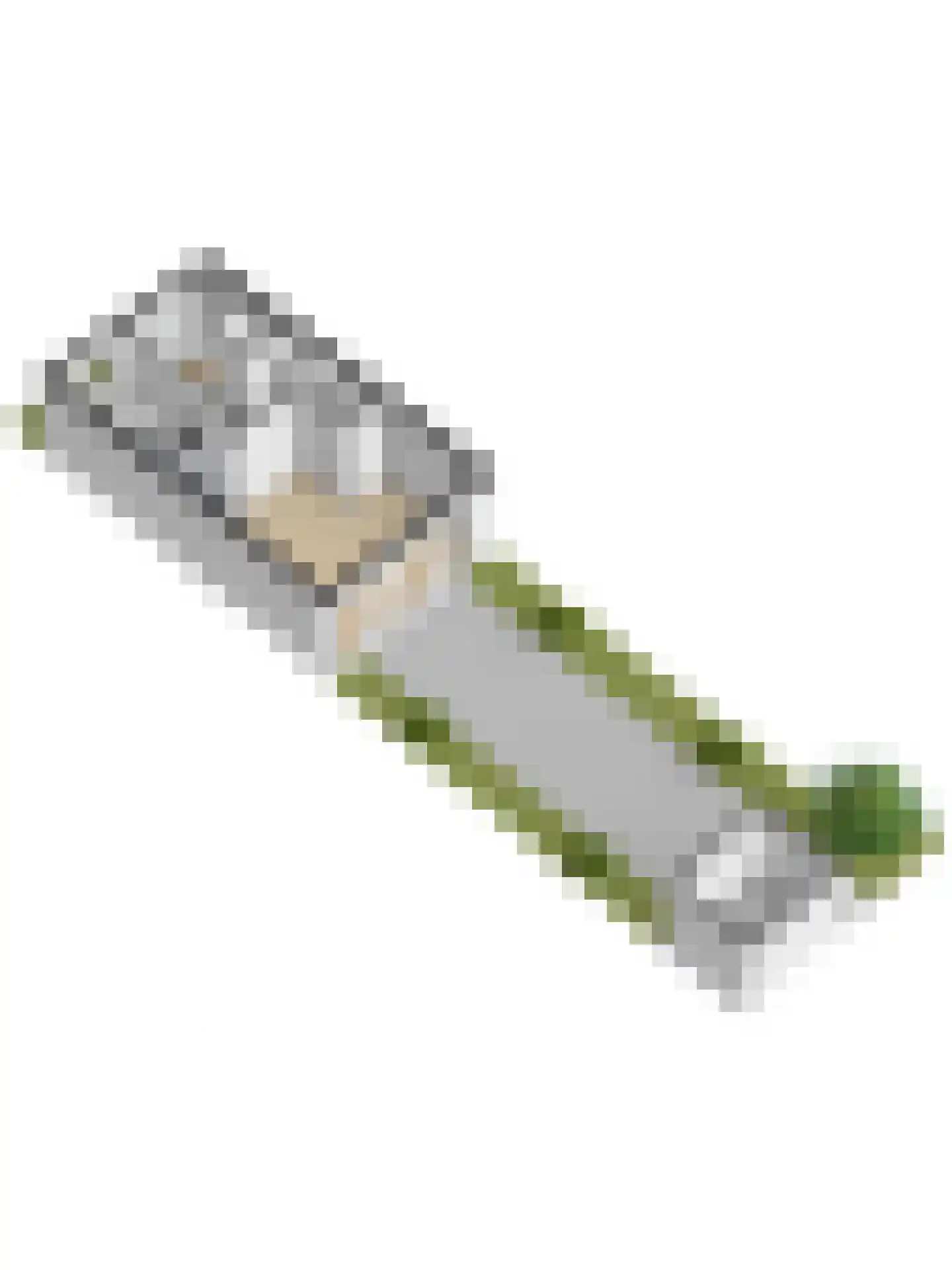 Meerval 101 Schagen thumbnail 46