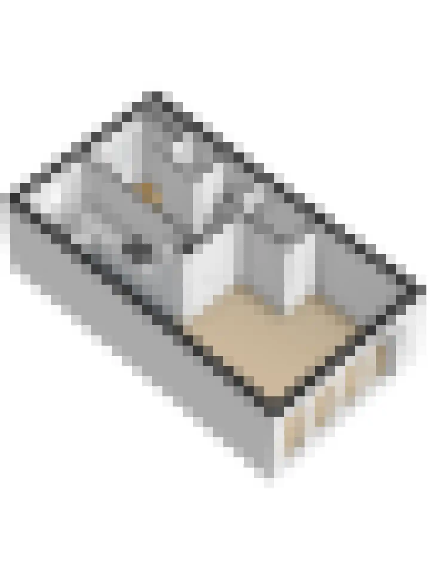 Meerval 101 Schagen thumbnail 47