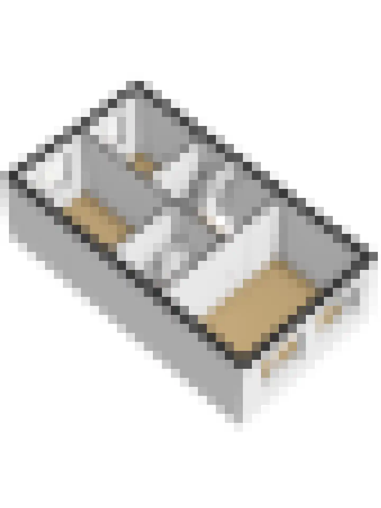 Meerval 101 Schagen thumbnail 48