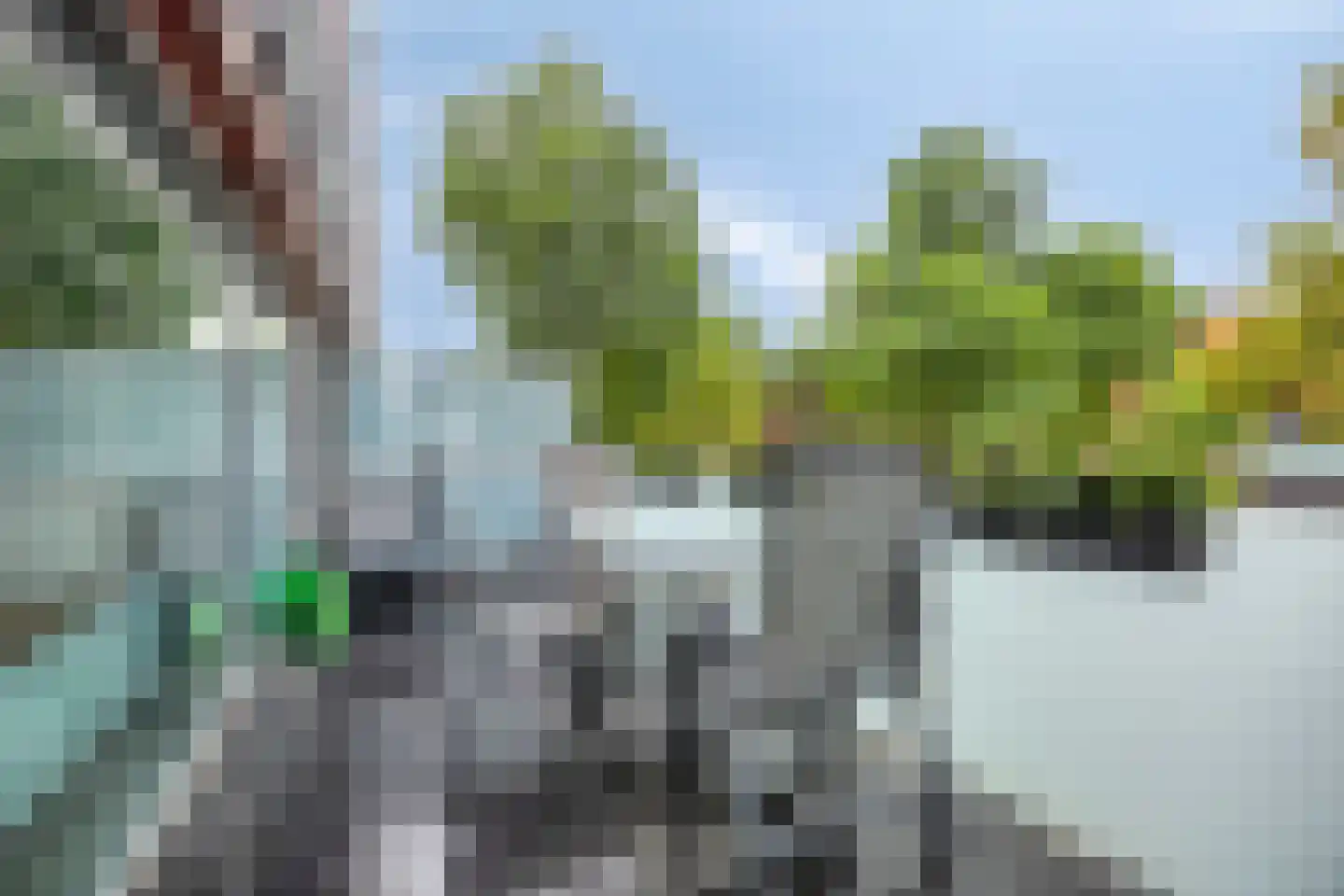 Meerval 102 Amersfoort thumbnail 20