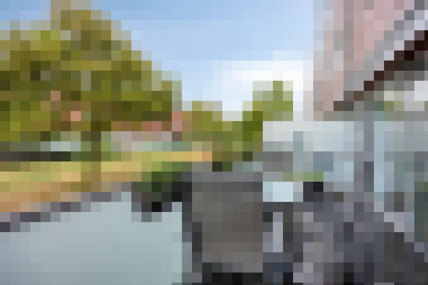 Meerval 102 Amersfoort thumbnail 21