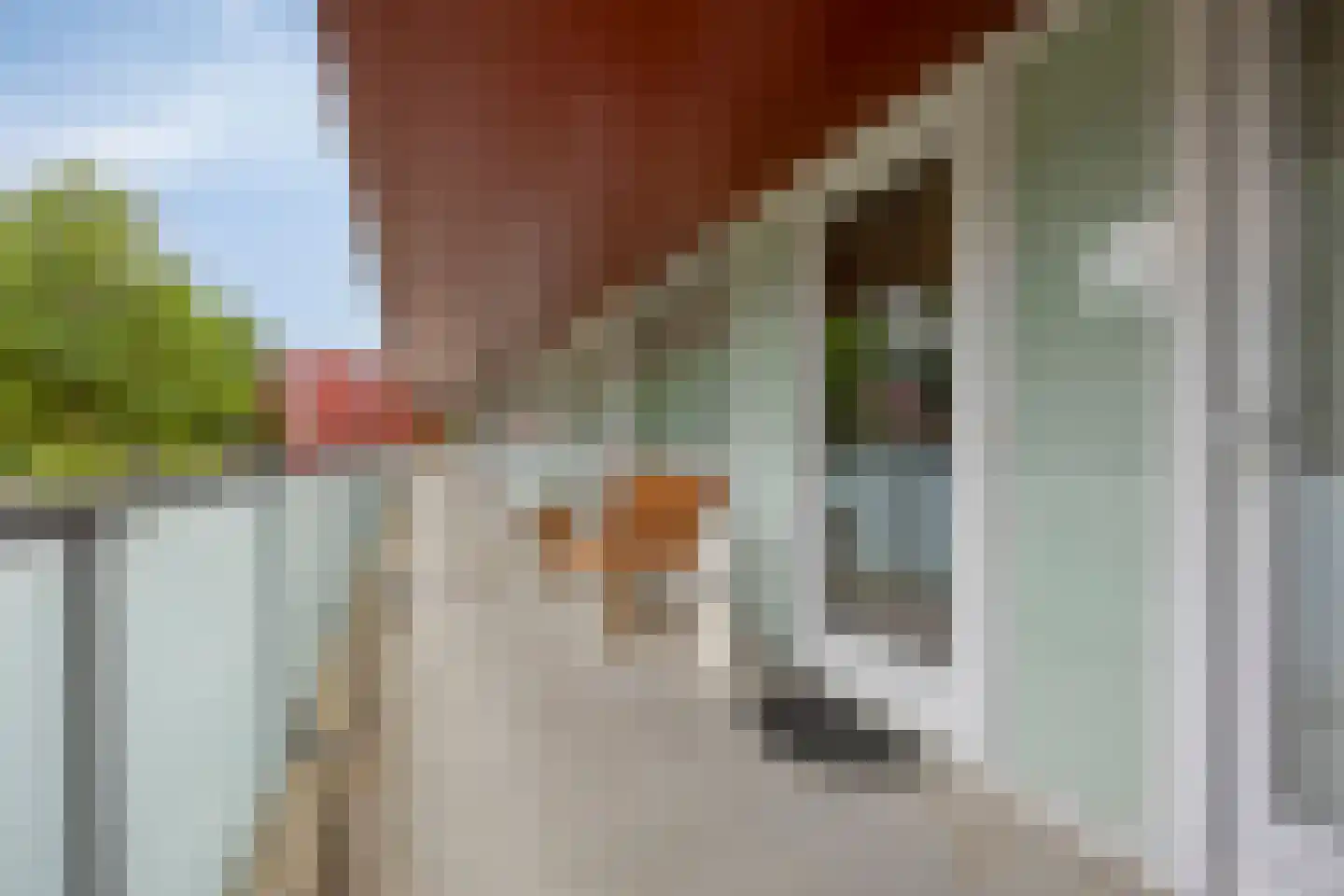 Meerval 102 Amersfoort thumbnail 23