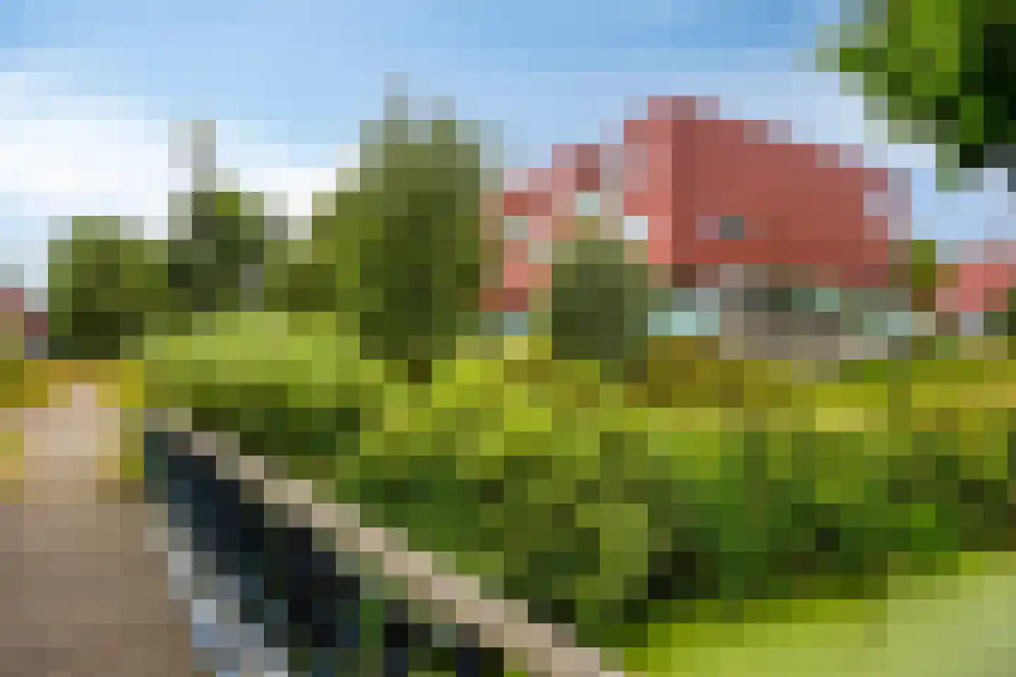 Meerval 102 Amersfoort thumbnail 25