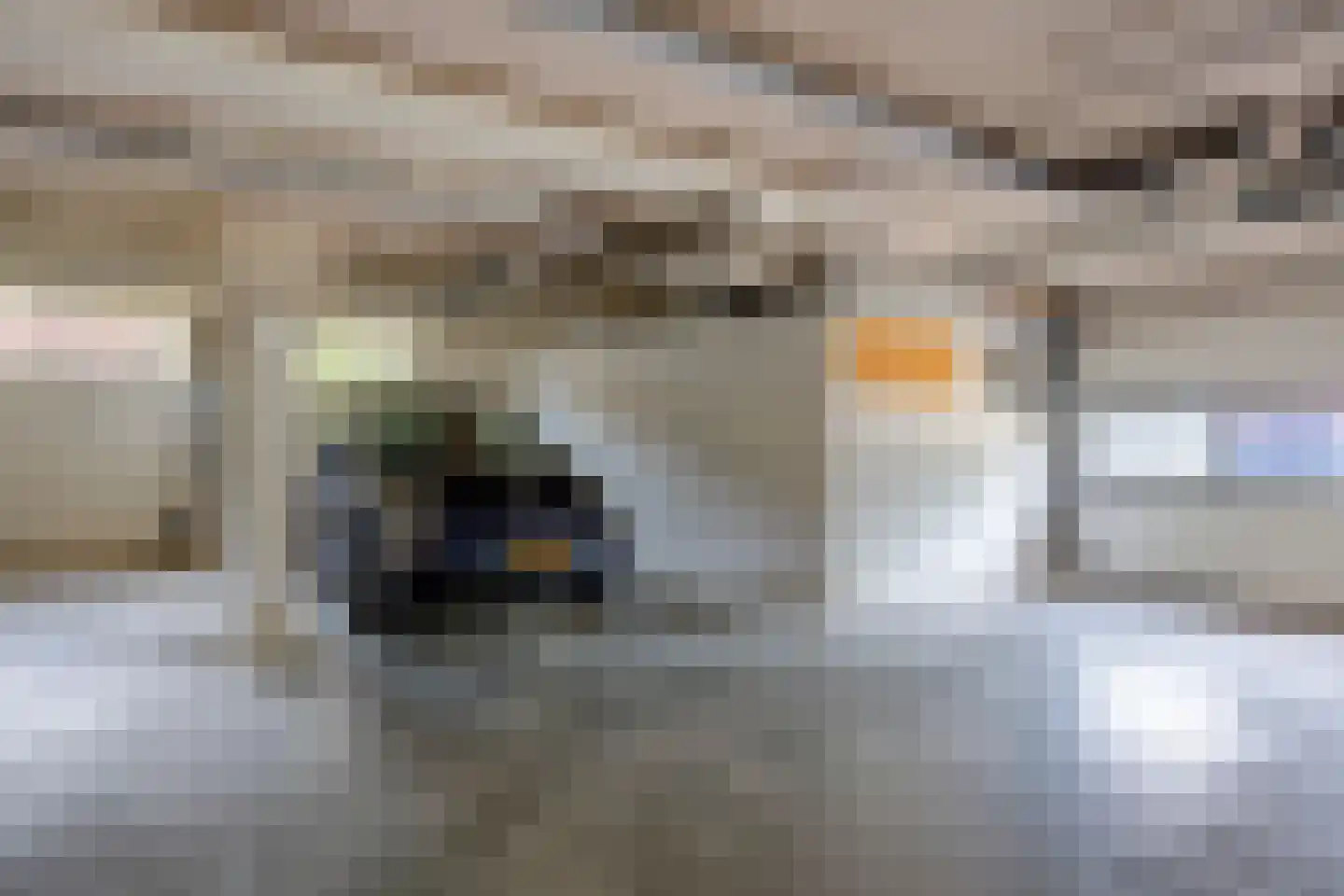 Meerval 102 Amersfoort thumbnail 31