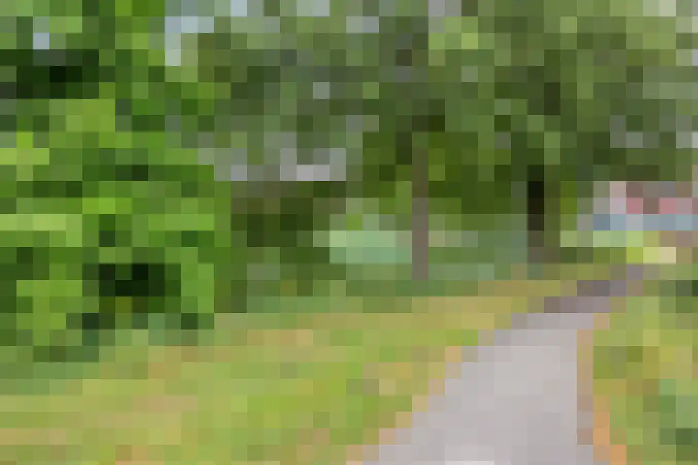 Meerval 102 Amersfoort thumbnail 35