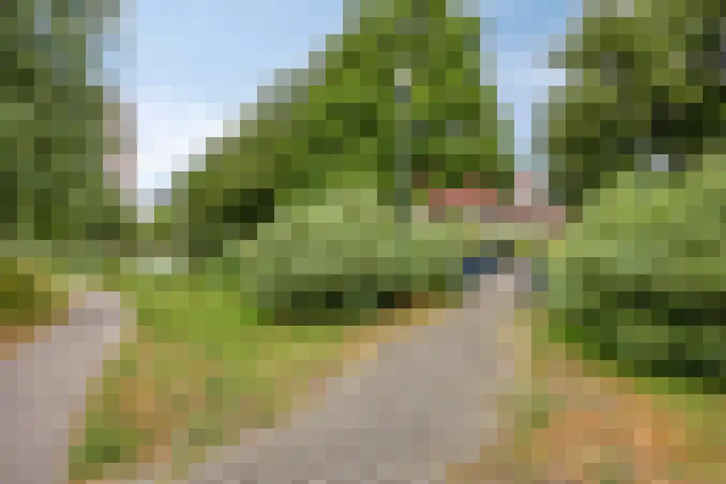 Meerval 102 Amersfoort thumbnail 36